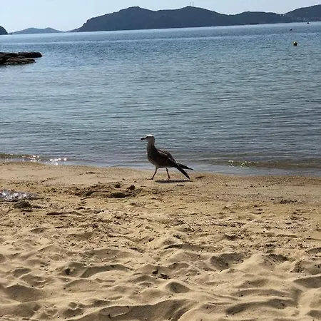 Case de vacanță Aktaia PalaiónTsiflíkion