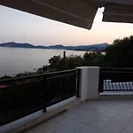 Aktaia *